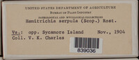 Image Associated With the Occurence